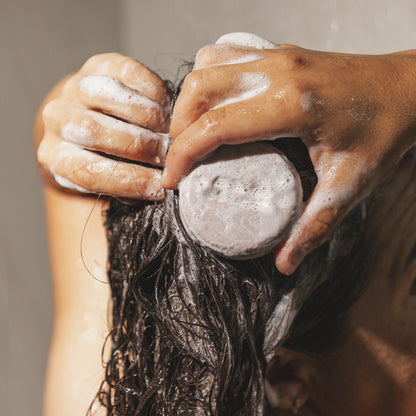 SHAMPOO sólido 75g. - LAVANDA